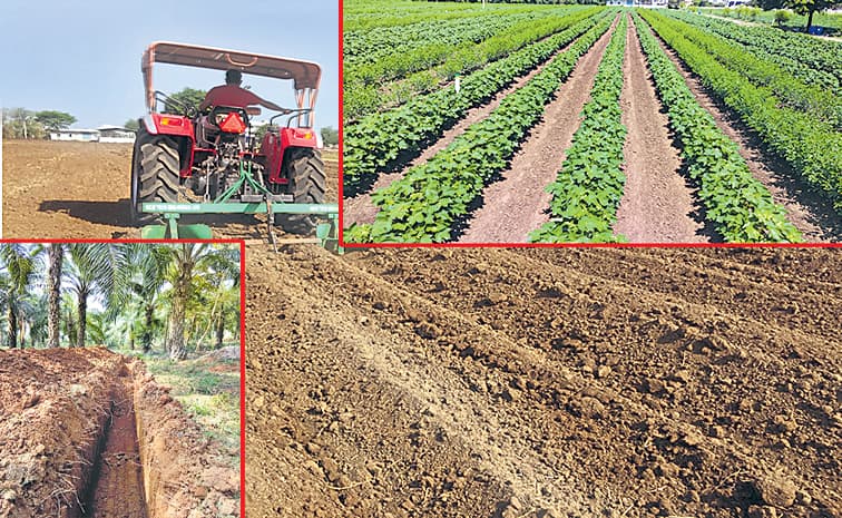 ఎల్ నినోను తట్టుకునే ఉపాయాలు