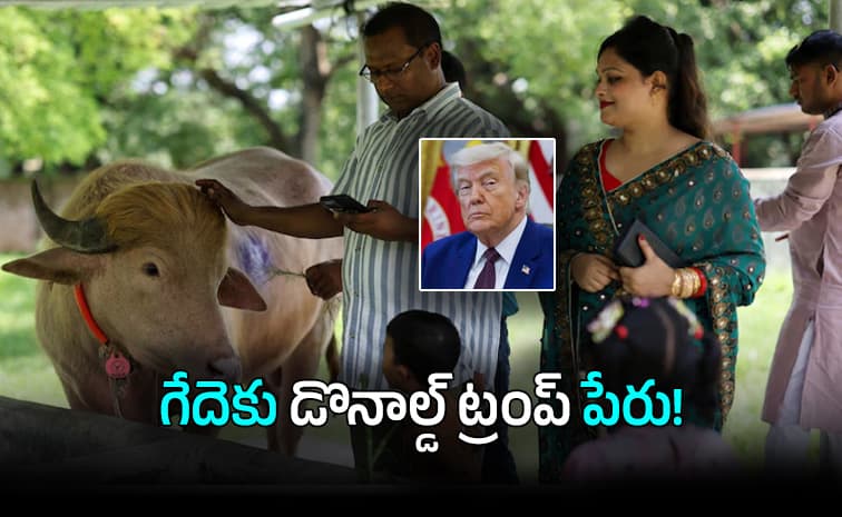 గేదె హెయిర్ స్టైల్ కు ఫుల్ క్రేజ్