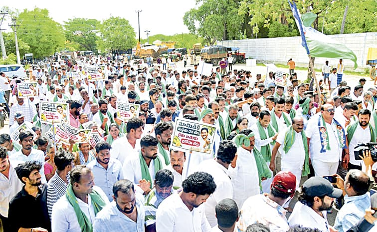 మామిడికి మద్దతు ధర ఇవ్వని చంద్రబాబు రైతు ద్రోహి