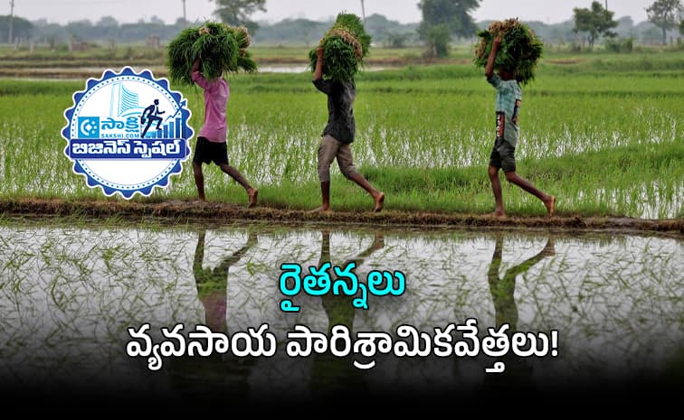 అన్నదాతకు ఆర్థిక స్వాతంత్ర్యం రావాలంటే