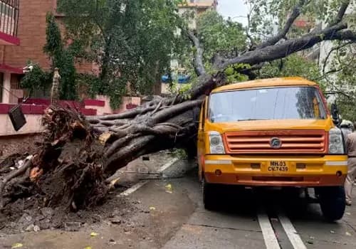 ముంబైలో ఘోర ప్రమాదం..స్కూల్ బస్సుపై కూలిన భారీ చెట్టు
