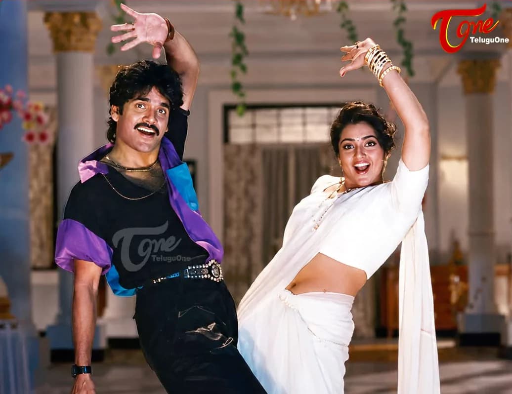 నాగార్జున మాస్ లుక్‌కు తోడైన మీనాగ్లామర్.. ఈ పాట ఇప్పటికీ ఎవర్‌గ్రీన్!
