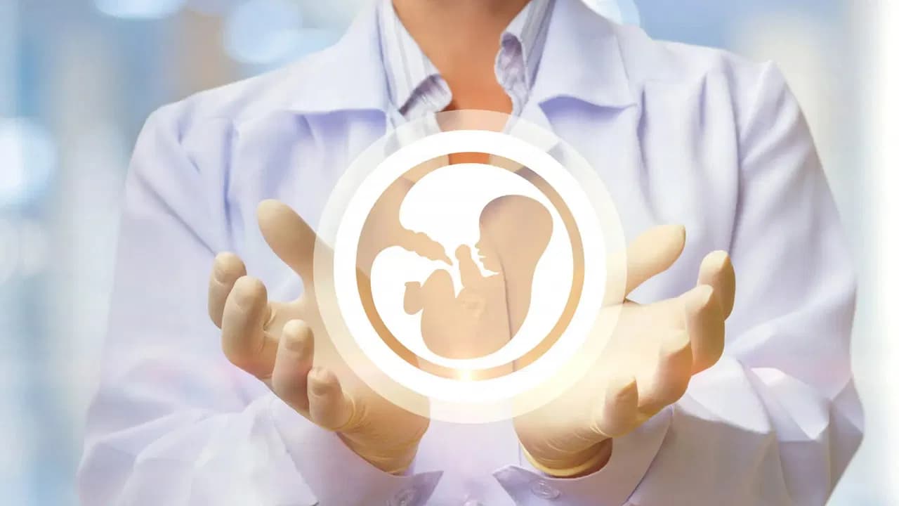 రంగంలోకి దిగిన జాతీయ మహిళా కమిషన్