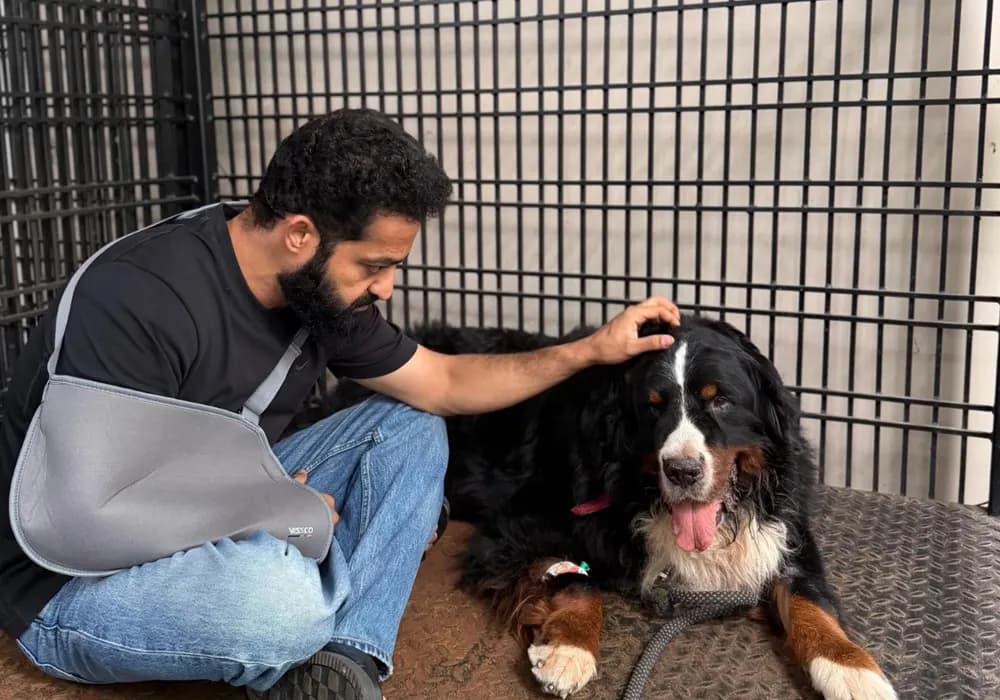 కంటతడి పెట్టిస్తున్న ఎన్టీఆర్ ఎమోషనల్ పోస్ట్