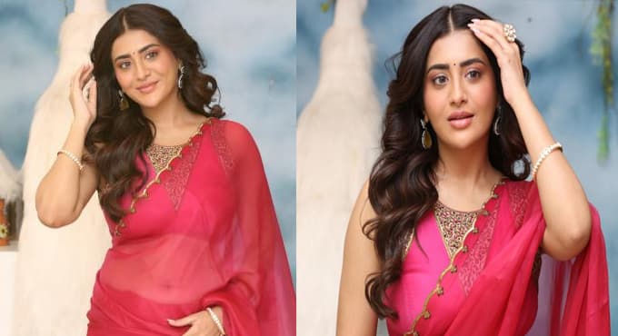 ఎయిర్ హోస్టెస్ గా కెరీర్ ప్రారంభించాను. ఫుడ్, కాఫీ వ్యాపారాల్లో ప్రస్తుతం బిజీగా ఉన్నాను - రాశీ సింగ్