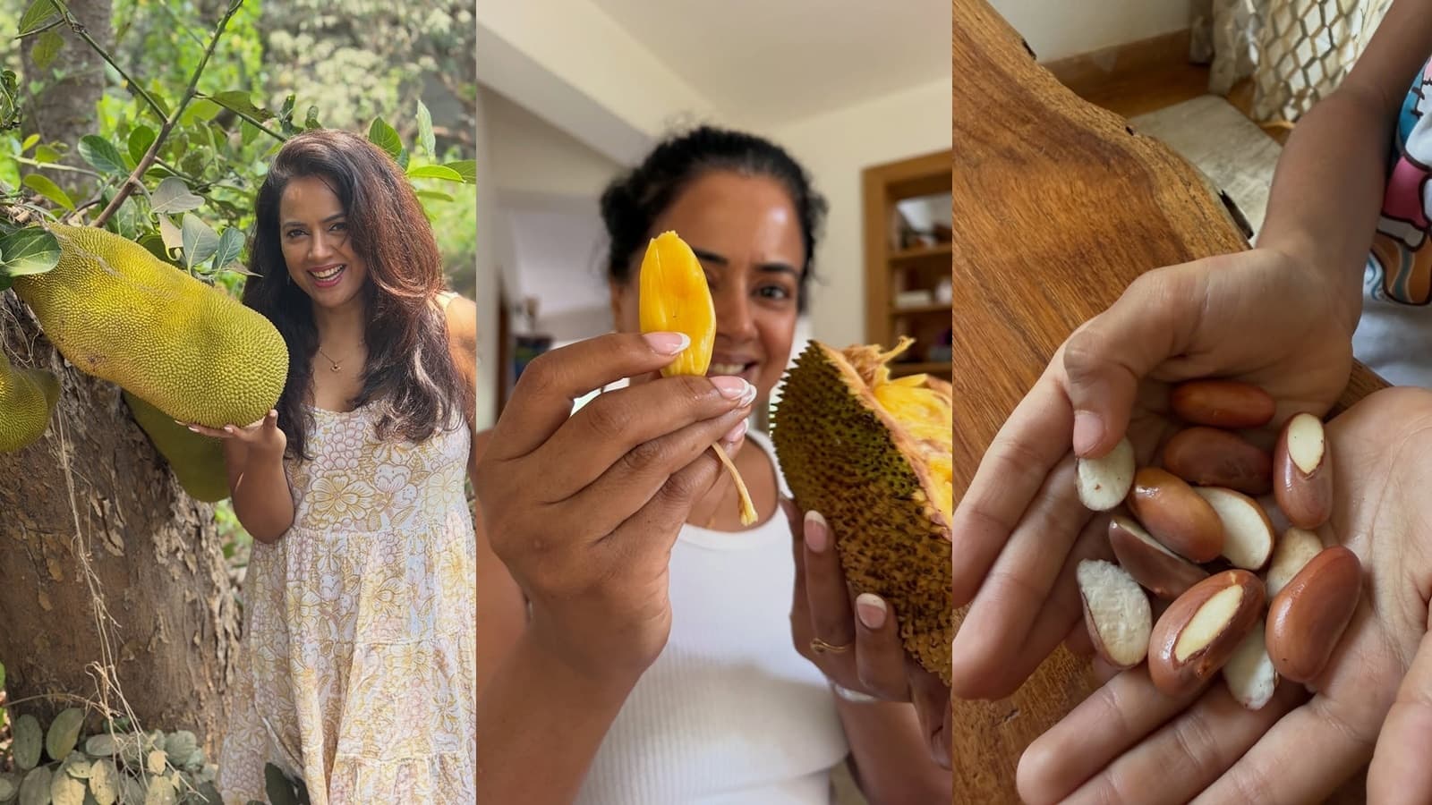 As Sameera Reddy Enjoys Jackfruit Seeds We Find Out Health Benefits