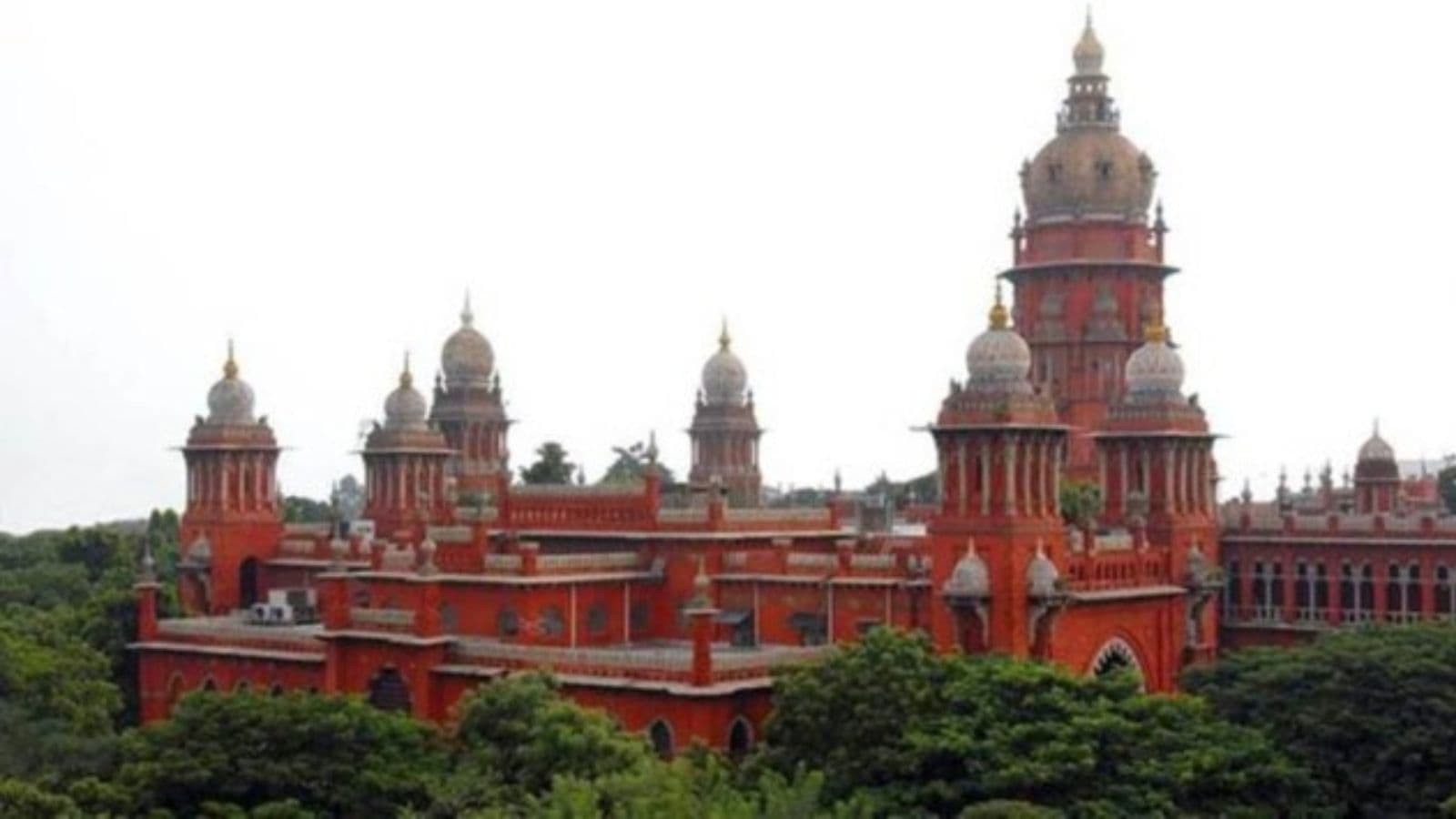 No Relief For Mbbs Graduate Whose Degree Was Withheld Over Terror Funding Probe