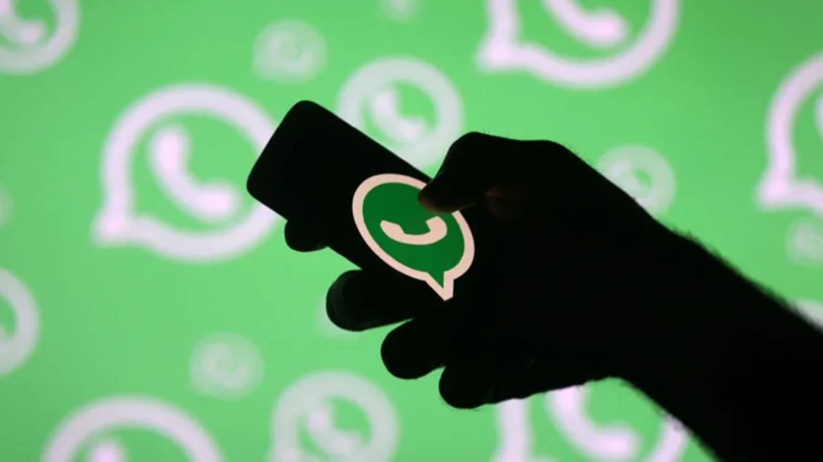 India Asks Whatsapp To Pause Usernames Rollout Company Says Safeguards Are In Place
