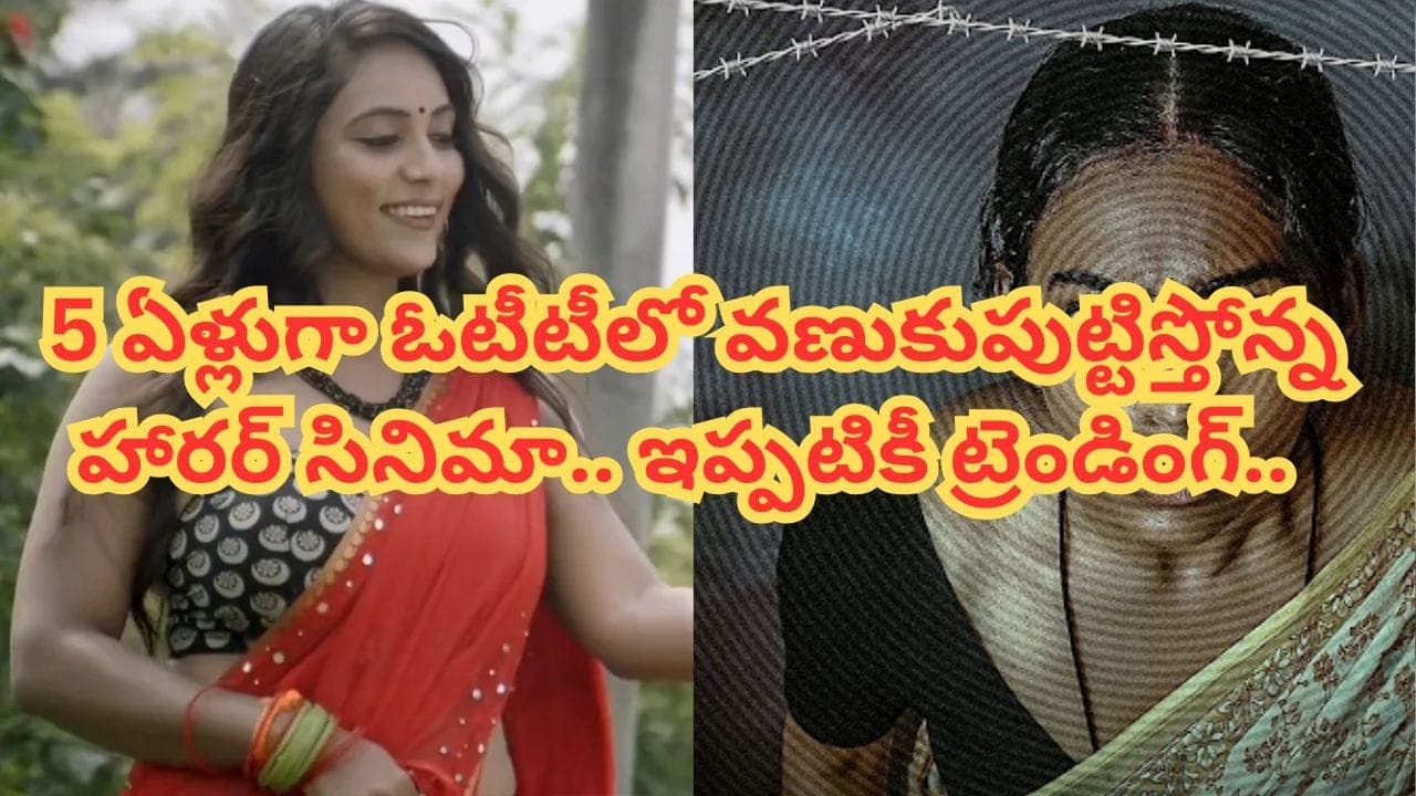 ఏం కాన్సెప్ట్ రా బాబూ.. 5 ఏళ్లుగా ఓటీటీలో గత్తరలేపుతున్న హారర్ థ్రిల్లర్.. ఒక్కో సీన్ చూస్తే మెంటలెక్కిపోతుంది