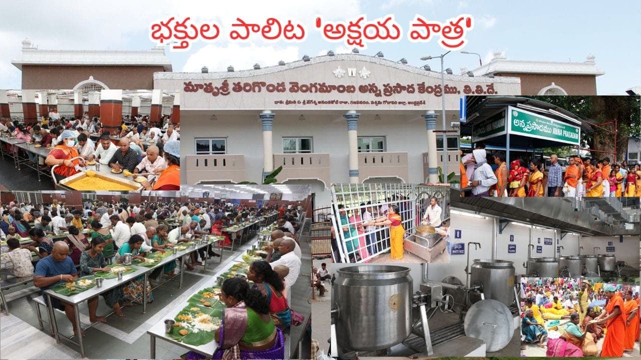 ఆకలి తీర్చే ఇలవైకుంఠం.. తిరుమలలో రోజుకు ఎన్నిలక్షల మందికి అన్న ప్రసాదం అందిస్తారంటే