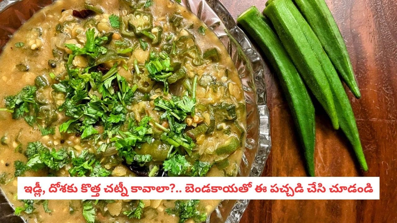 బెండకాయ కూర తినని వాళ్లు కూడా లొట్టలేసుకుని తింటారు.. పచ్చడి ఇలా చేయండి