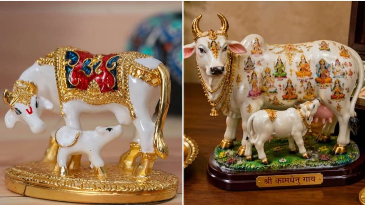 వాస్తు ప్రకారం ఇంట్లో ఈ విగ్రహం పెట్టండి చాలు