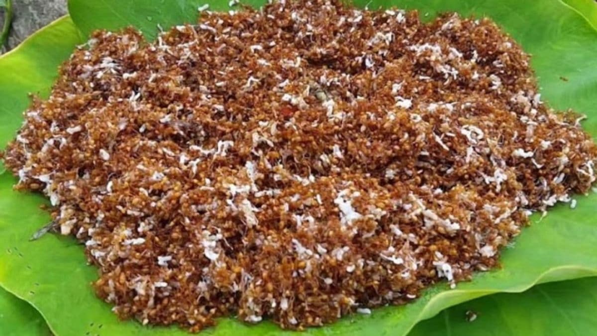 భౌగోళిక గుర్తింపు పొందిన ఎర్ర చీమల చట్నీ.. దీని ప్రత్యేకత ఇదే