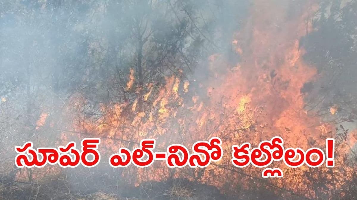 సూపర్ ఎల్ నినో' ముప్పు.. కరువు, ఆహార సంక్షోభం తప్పదా