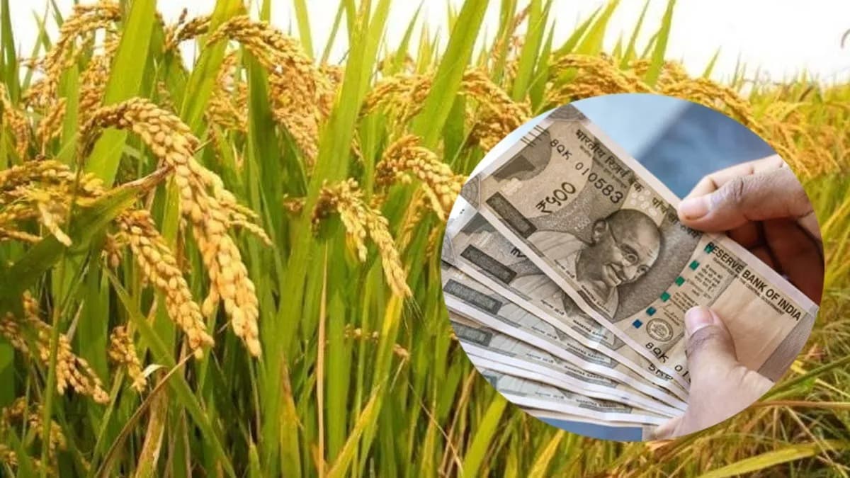 వరి బోనస్ చెల్లింపులు ఇక వీరికే - కీలక మార్పులు