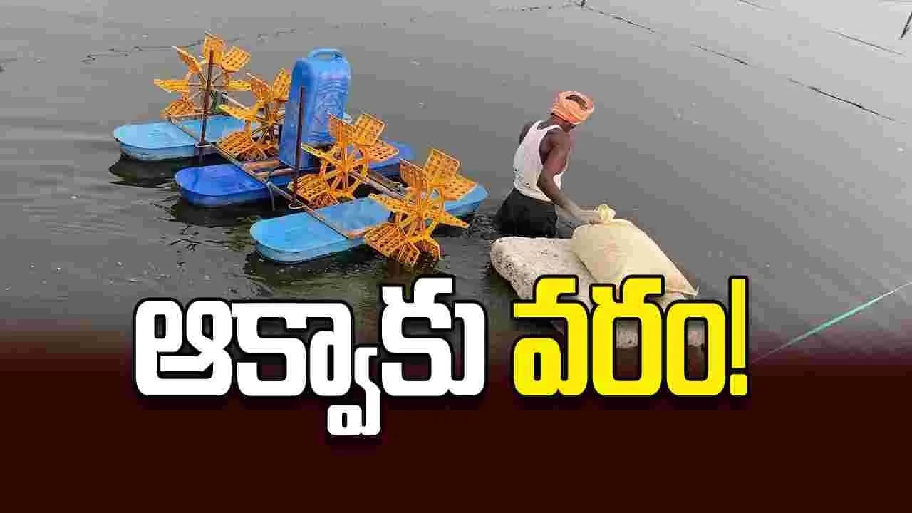 ఆక్వాకు వరం