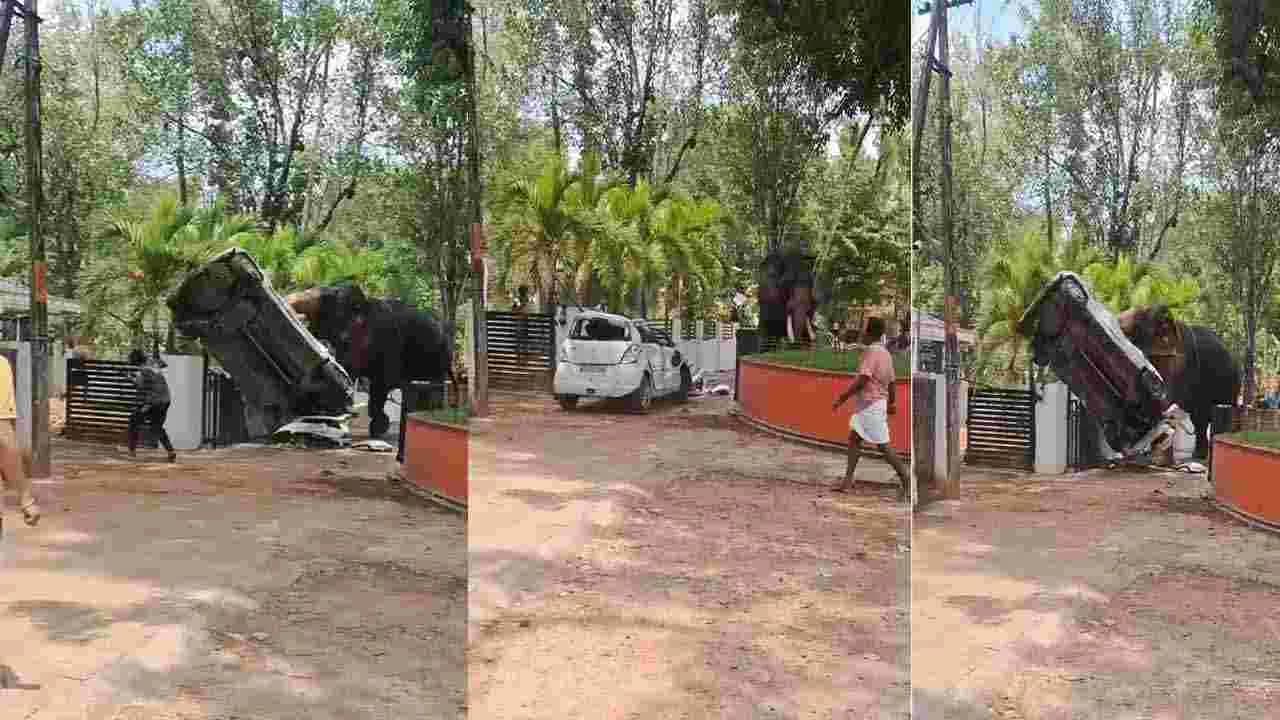 కారును ధ్వంసం చేసిన గజరాజు.. వీడియో వైరల్