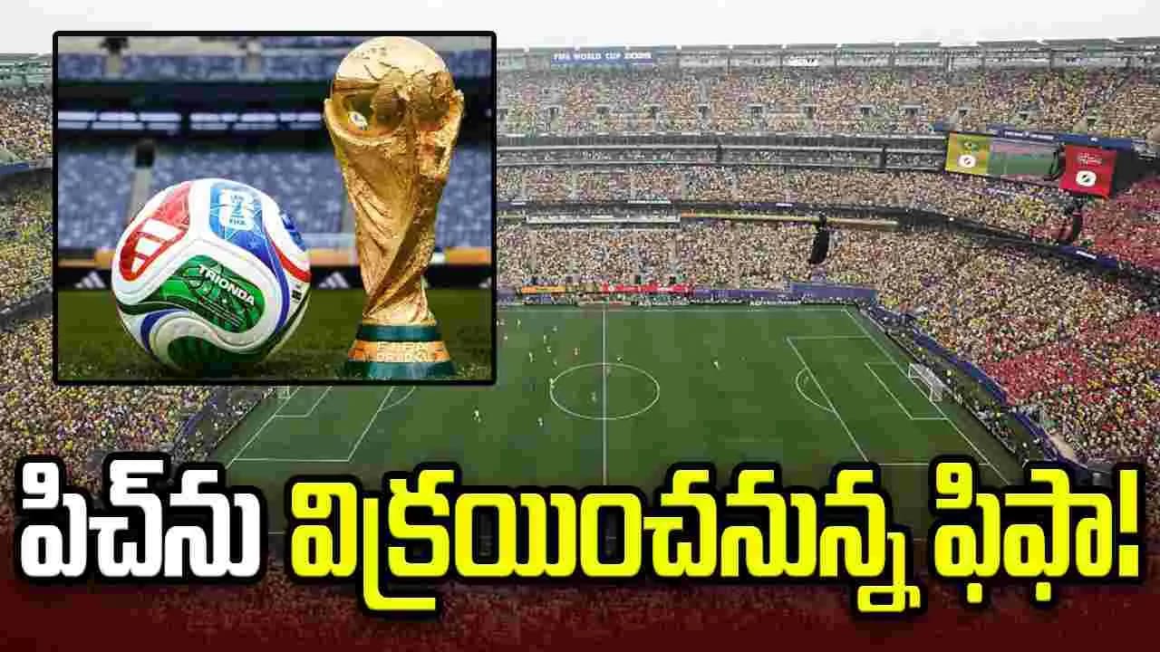 విక్రయానికి పిచ్.. ధర తెలిస్తే షాకవ్వాల్సిందే
