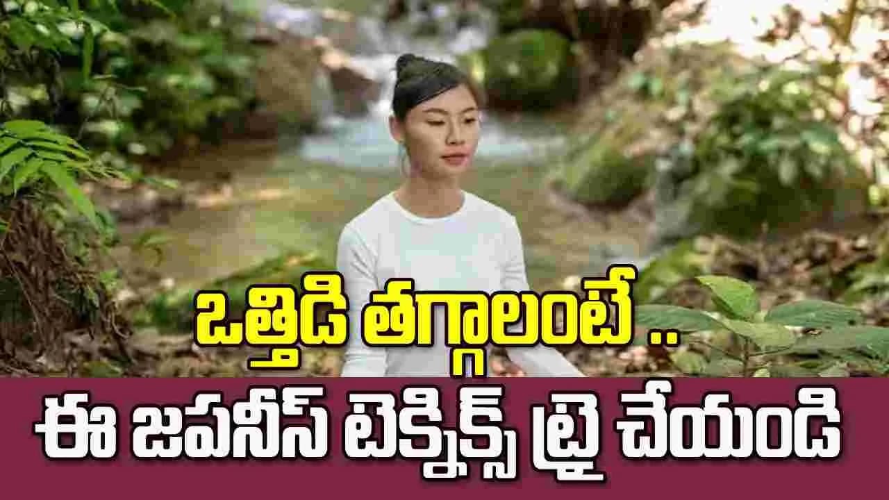 మనసుకు ప్రశాంతత కావాలా? ఈ జపనీస్ టెక్నిక్స్ ట్రై చేయండి
