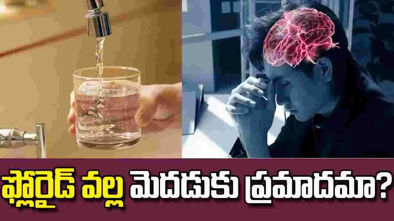 ఫ్లోరైడ్.. నిజంగా మెదడును ప్రభావితం చేస్తుందా