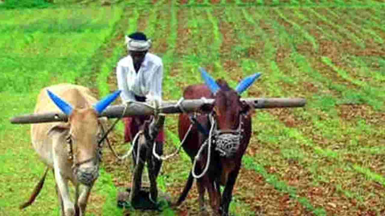 ఏఐ డేటాతో ఒక్కో రైతుకు రూ..50 వేలు ఆదా