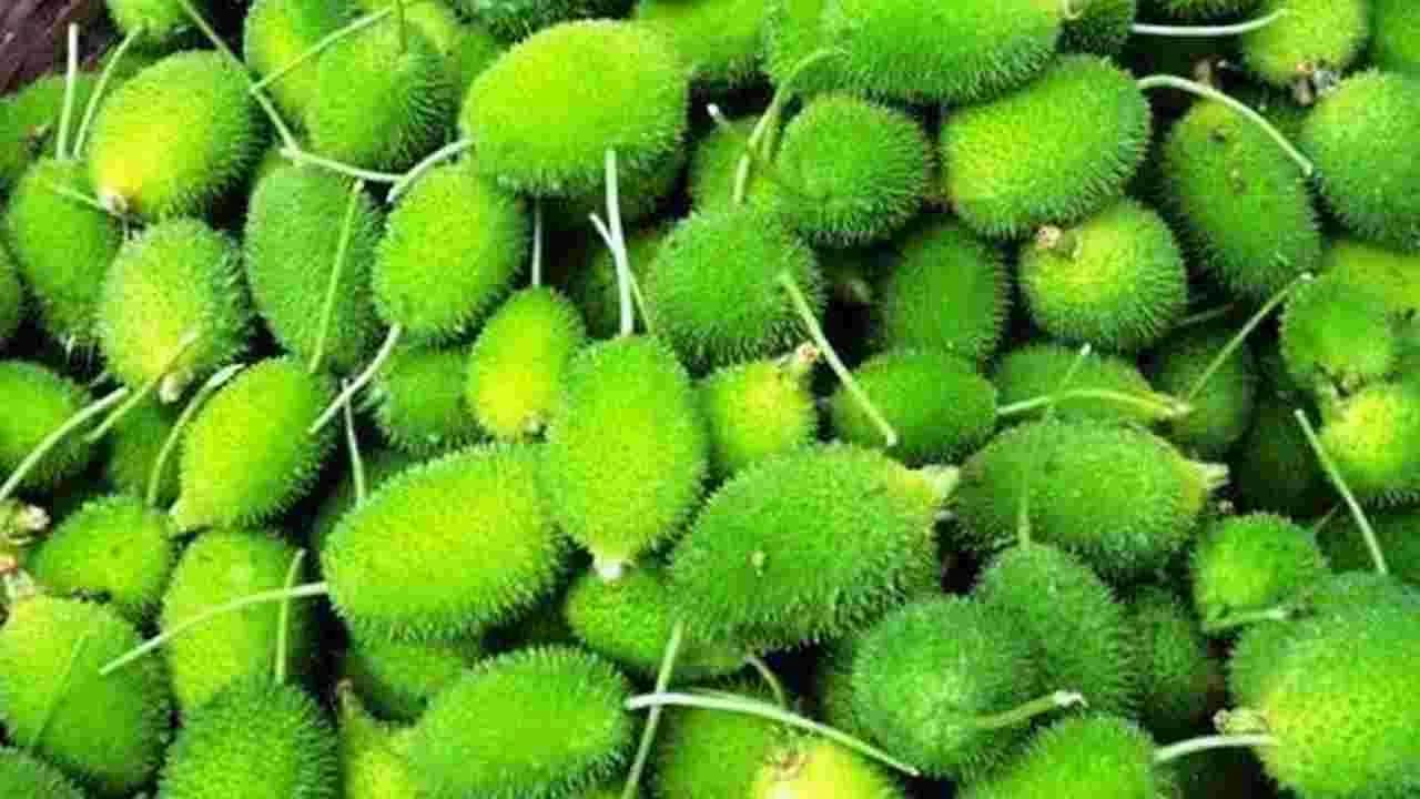 మాన్ సూన్ కాకర