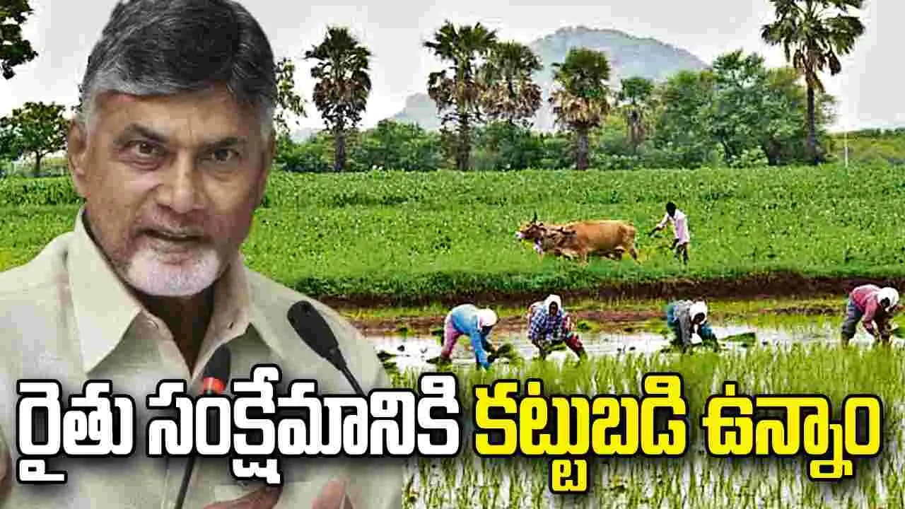 నేడు సిద్ధాంతంలో సీఎం చంద్రబాబు పర్యటన.. రైతులతో ముఖాముఖి