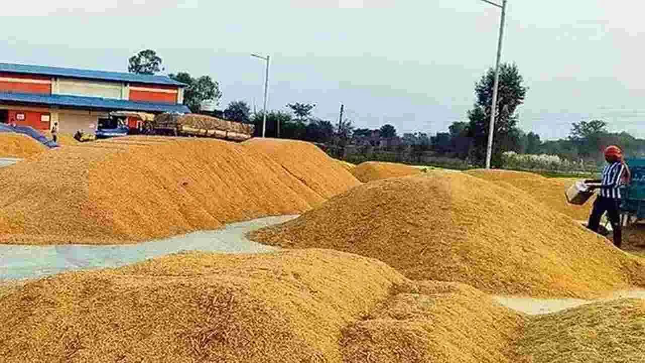 మళ్లీ పెరిగిన ఆర్ ఎన్ ఆర్ ధాన్యం ధర