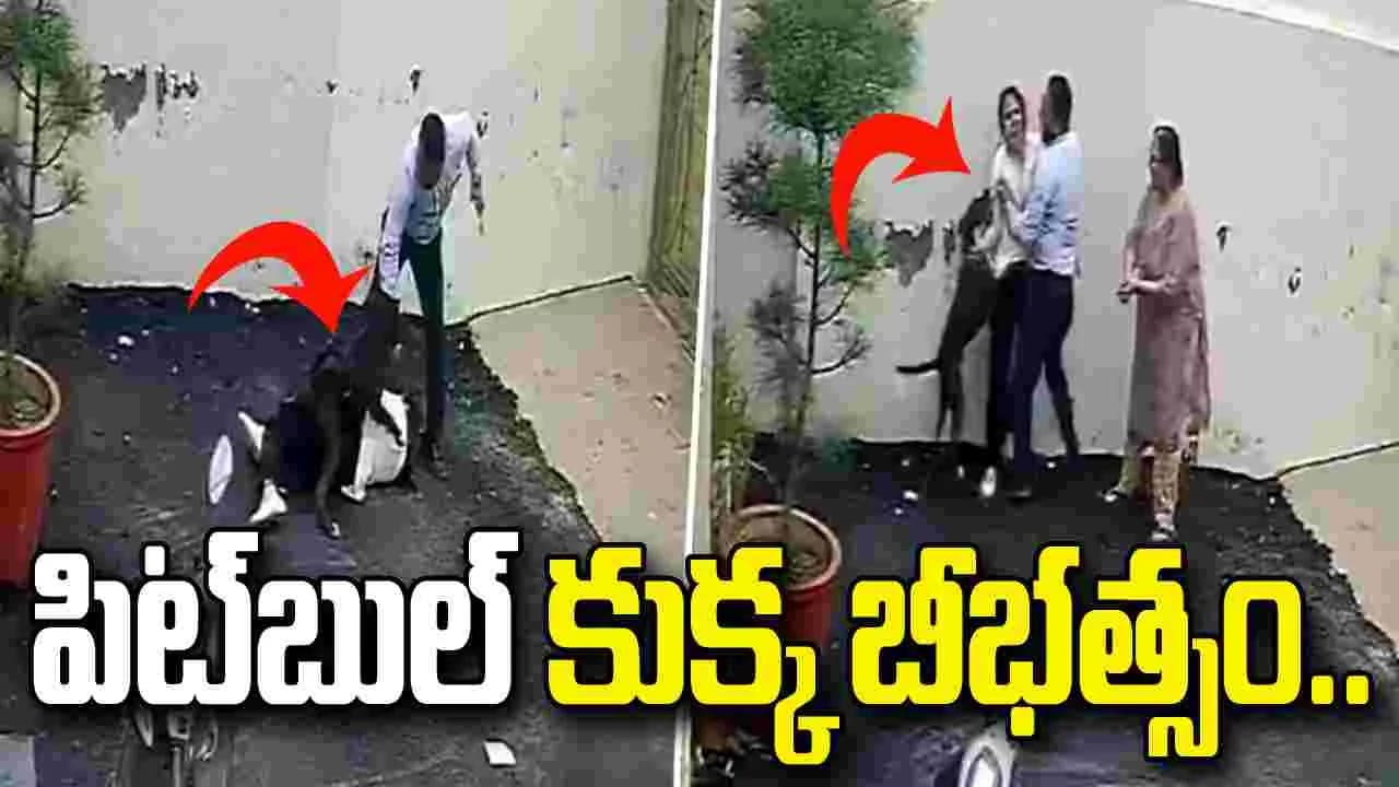 ఇంటిని చూడటానికి వెళ్లిన దంపతులపై పిట్ బుల్ దాడి.. షాకింగ్ వీడియో వైరల్