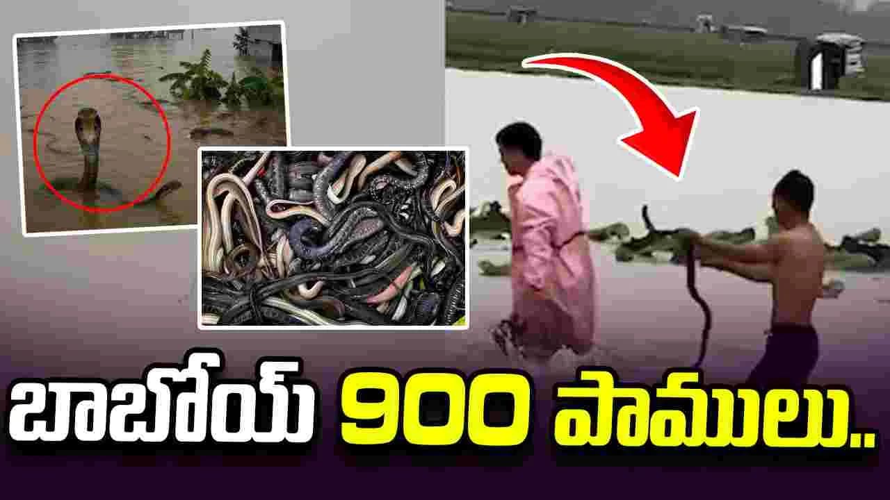 వరద నీటిలో 900 పాములు.. నరకం చూస్తున్న చైనా ప్రజలు