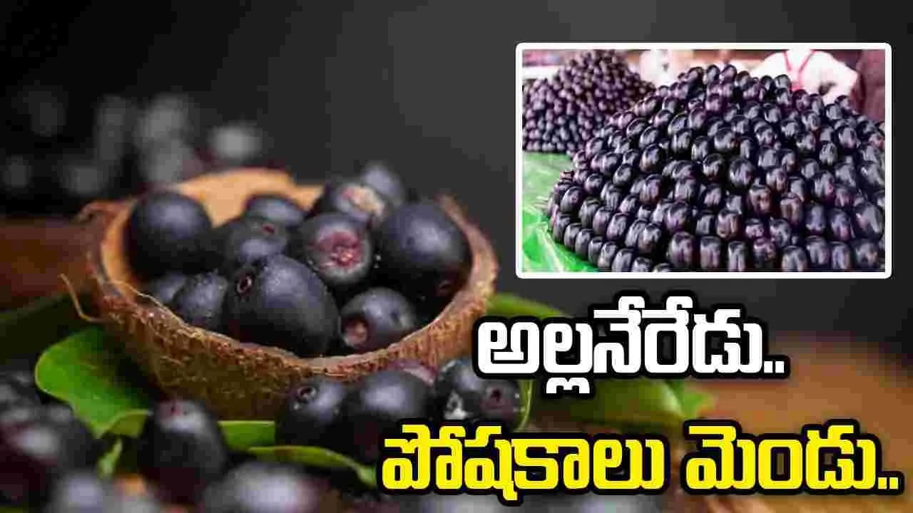 అల్లనేరేడు.. పోషకాలు మెండు