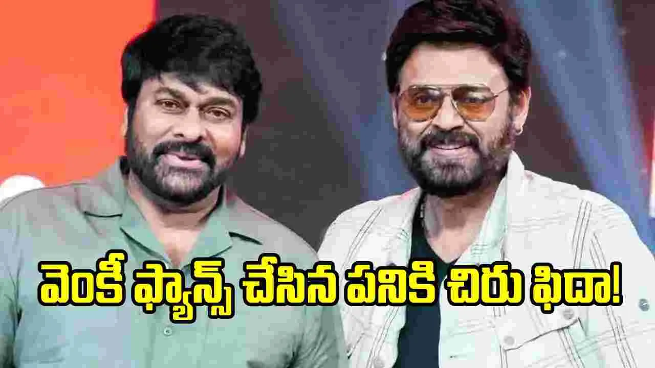 వెంకీమామ ఫ్యాన్స్ కు చిరంజీవి అభినందనలు.. విషయం ఏంటంటే