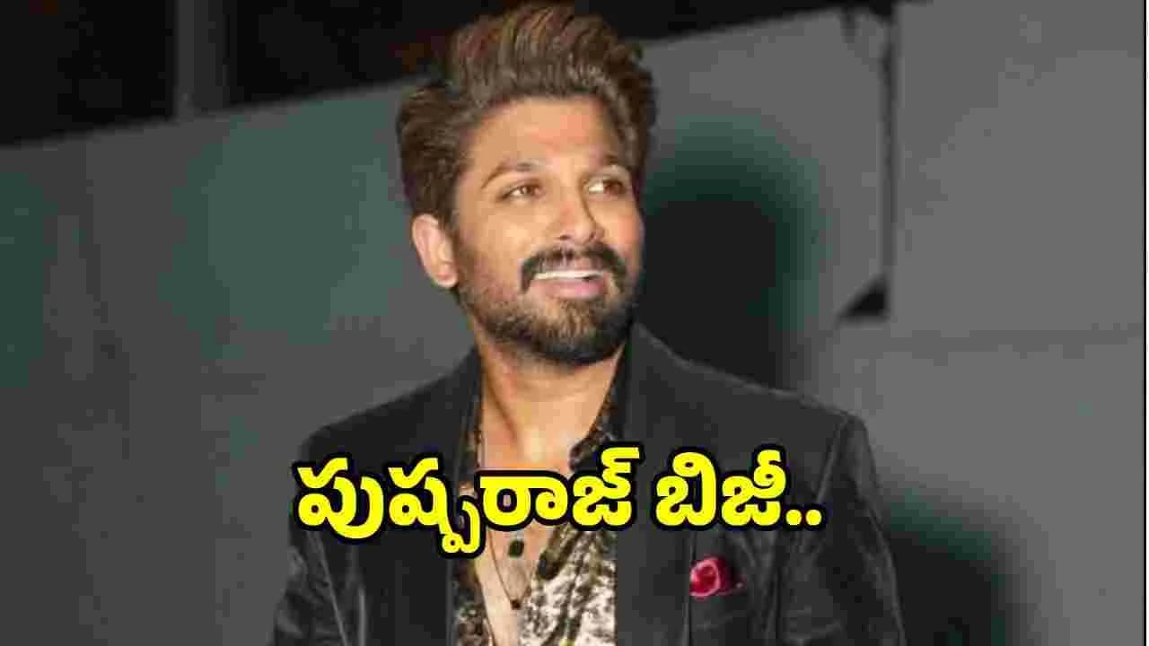 సంధ్య థియేటర్ ఘటన.. వర్చువల్ గా కోర్టుకు హాజరైన పుష్ప