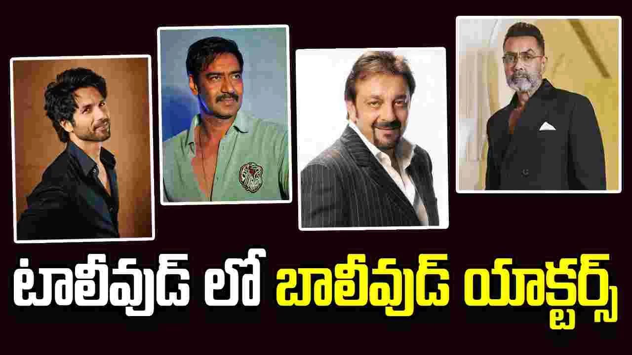 తెలుగు సినిమాల్లో పెరుగుతున్న బాలీవుడ్ నటులు