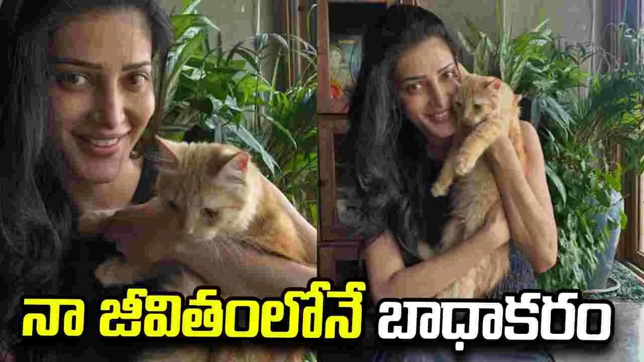 పెంపుడు పిల్లిని దూరం చేసుకున్న శ్రుతి హాసన్ .. అసలు కారణం ఇదే