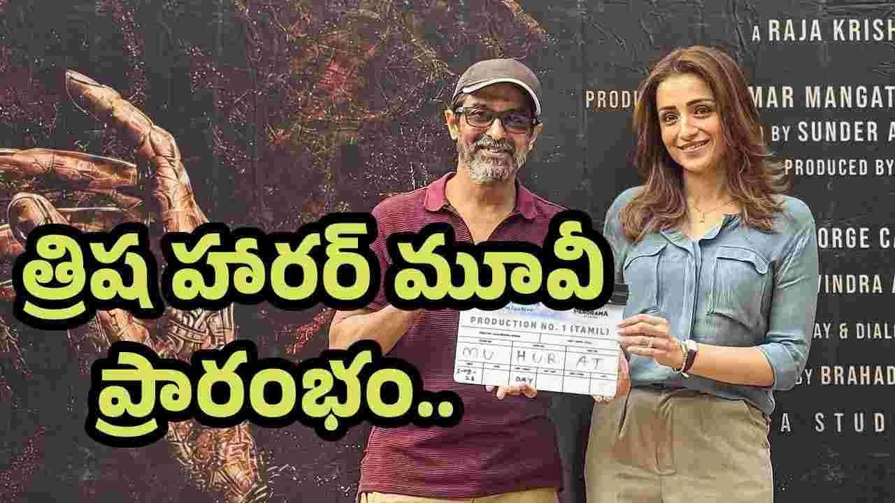 సినిమాలకుత్రిష గుడ్ బై.. ఆమె చివరి చిత్రం ఇదే