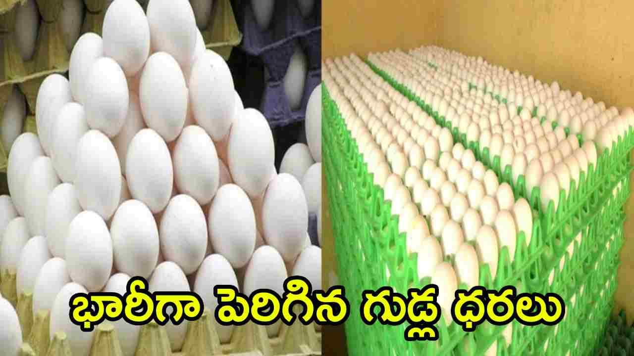 కొండెక్కిన కోడిగుడ్డు ధర.. ట్రే ధర ఎంతో తెలిస్తే షాకవుతారు