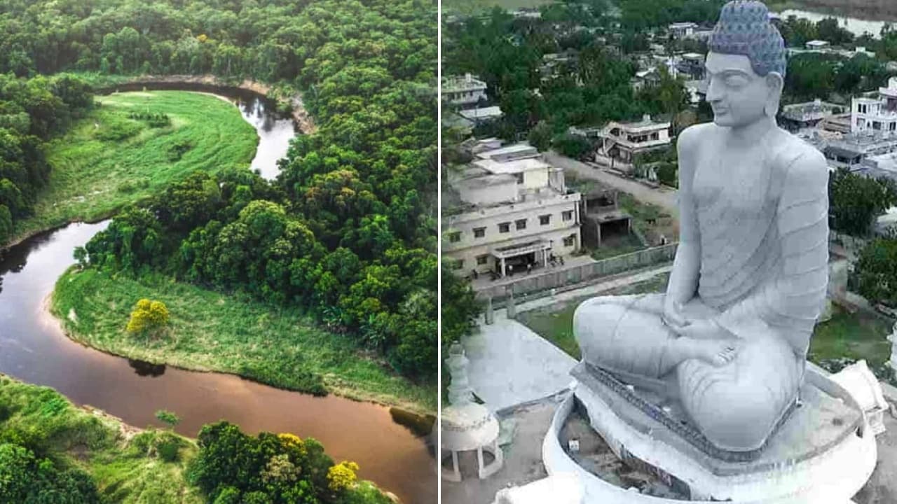 ఏపీ సర్కార్ కీలక నిర్ణయం.. అమరావతిలో ’మినీ అమెజాన్ ఫారెస్ట్’.. 20వేల చెట్లతో కొత్తగా.. కృత్రిమ జలపాతాలు కూడా