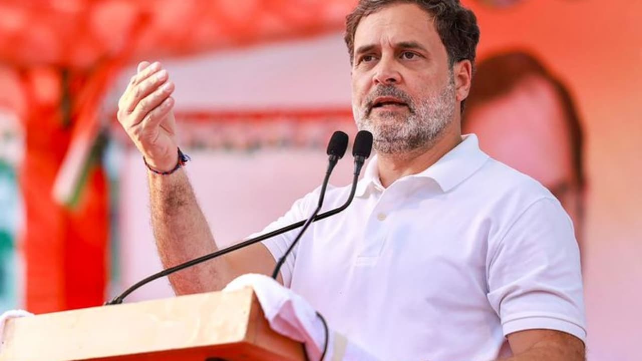 రాహుల్ గాంధీ టాప్ 7 మ్యూచువల్ ఫండ్స్ పెట్టుబడులు.. ఏడాదిలోనే కోట్లు కుమ్మరించాయిగా