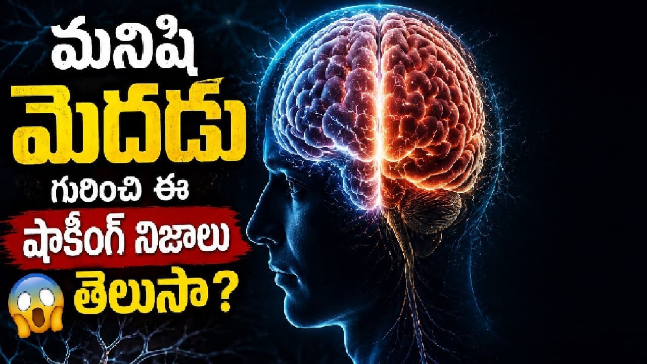 ఒకరోజులో మన మెదడు ఎన్ని వేల ఆలోచనలు చేస్తుందో తెలుసా? మెదడు గురించి షాకింగ్ నిజాలు ఇవిగో