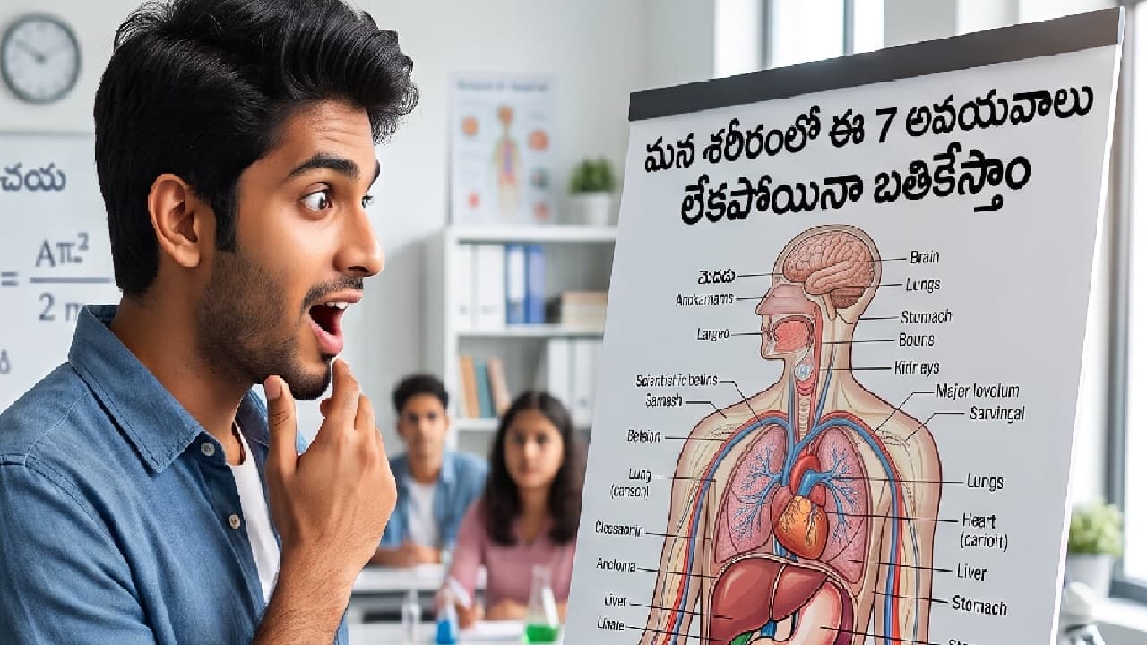 మన శరీరంలో ఈ 7 అవయవాలు లేకుండా కూడా బతకొచ్చు... ఆ అవయవాలేంటో మీకు తెలుసా