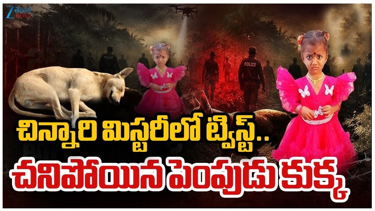 తుని చిన్నారి అదృశ్యంపై పవన్ కల్యాణ్ కీలక ఆదేశాలు.. వెంటనే ఆచూకీ కనిపెట్టండి