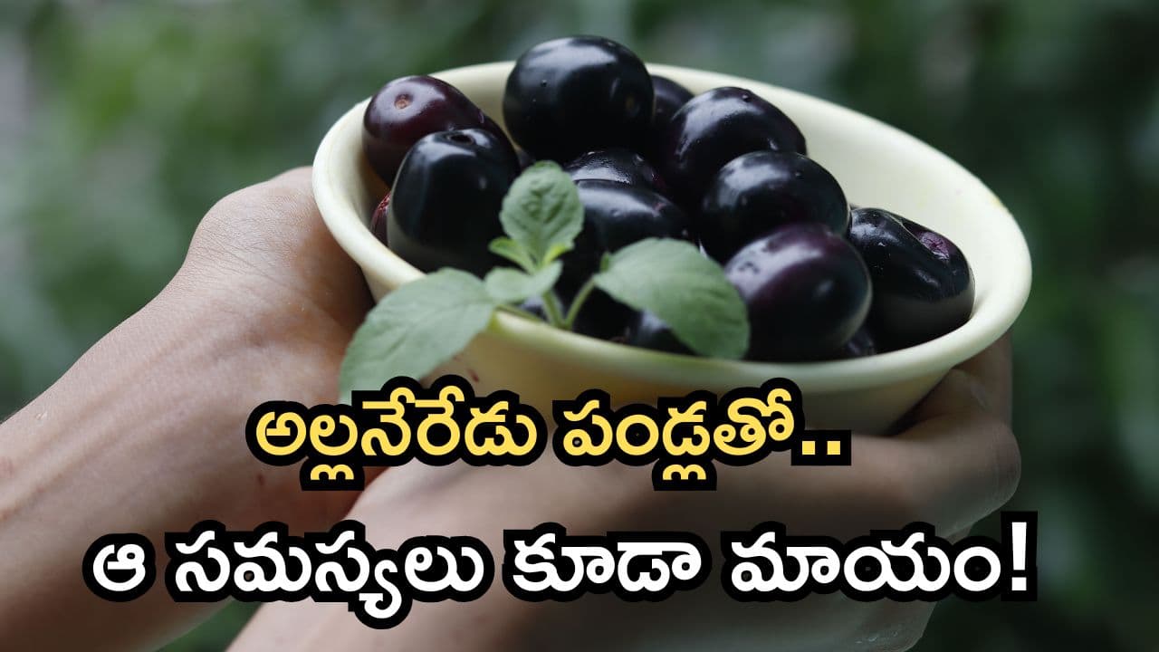 ఈ సీజన్ లో అల్లనేరేడు పండ్లు తినకపోతే నష్టపోయినట్లే.. షుగర్ కంట్రోల్ మాత్రమే కాదు, ఈ 5 లాభాలు