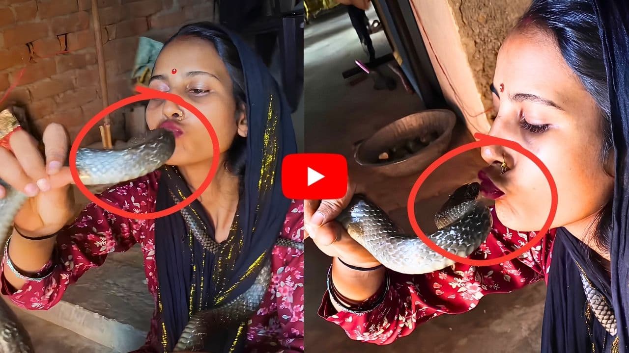 ప్రాణాలతో చెలగాటం.. కింగ్ కోబ్రాకు ముద్దు పెట్టిన యువతి.. నెటిజన్లు షాక్