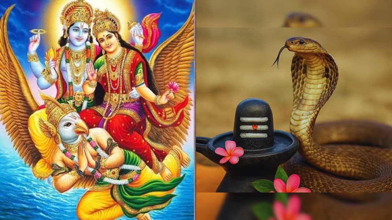 శ్రావణ శుక్ల పంచమి రోజున ఎందుకు నాగులు పంచమిని చేసుకుంటారు.. గరుడ పంచమి ప్రత్యేకత ఏమిటి