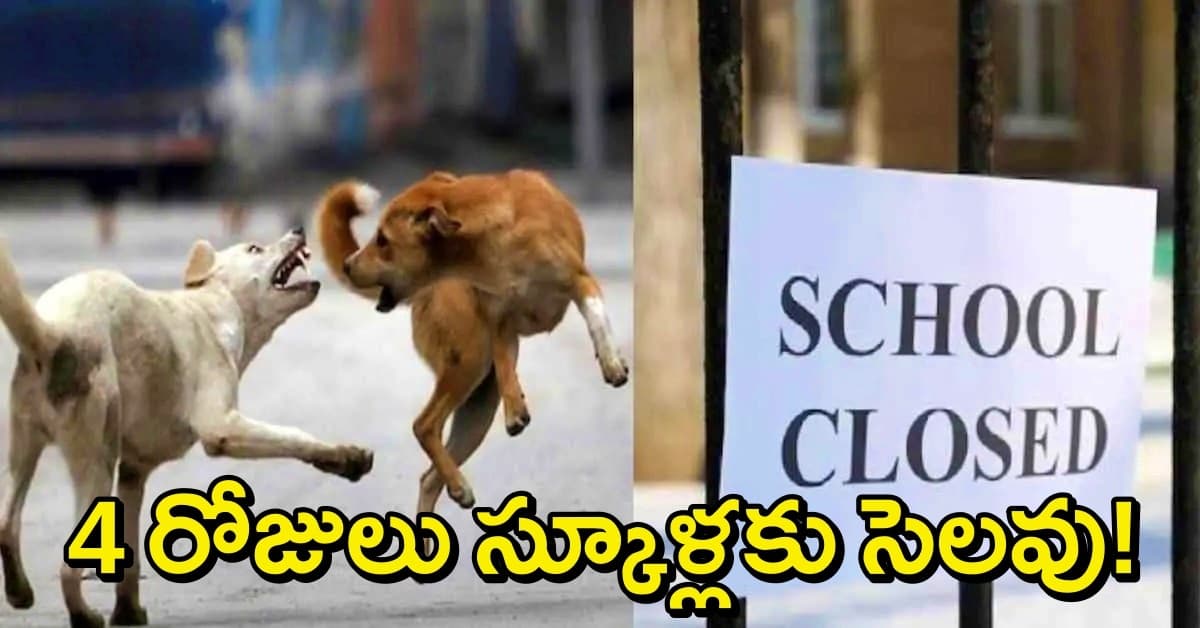 స్కూల్ విద్యార్థులపై వీధికుక్కల వరుస దాడులు..ఆ స్కూళ్లకు వరుసగా 4 రోజులు సెలవులు