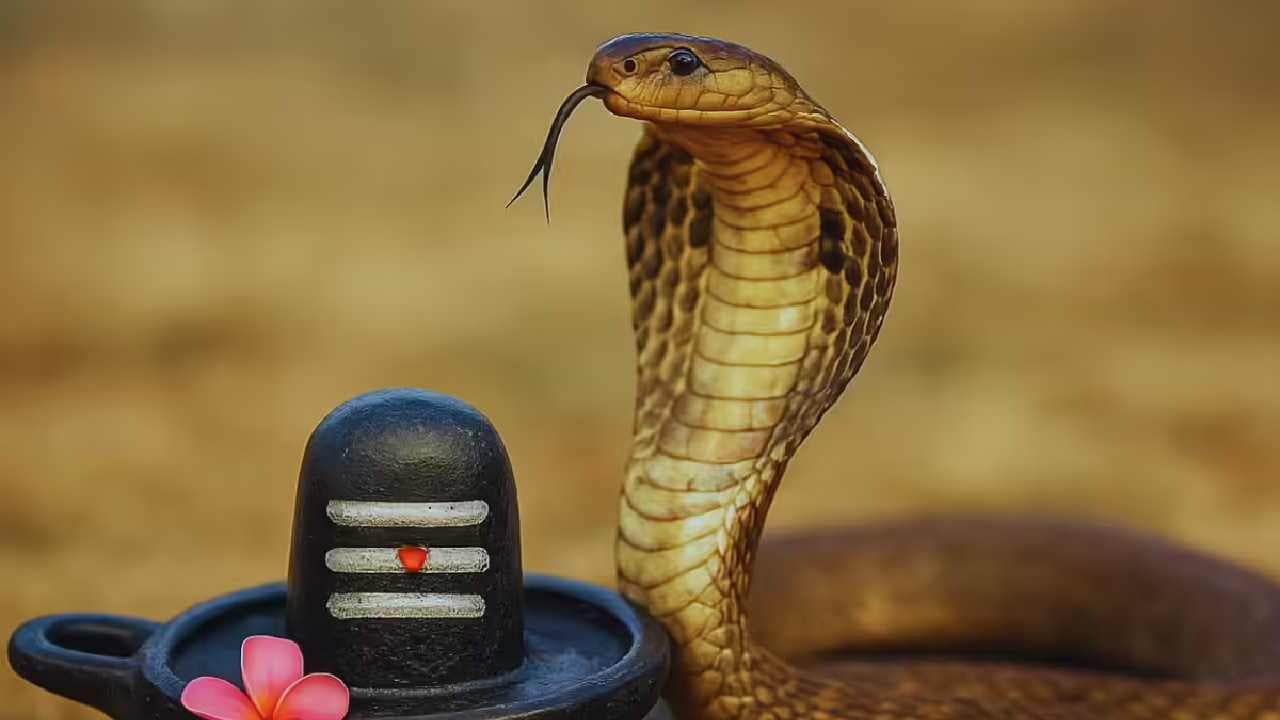 ఆగస్టు 17న నాగుల పంచమి సెలవు ఉందా.. అసలు నిజం ఇదే