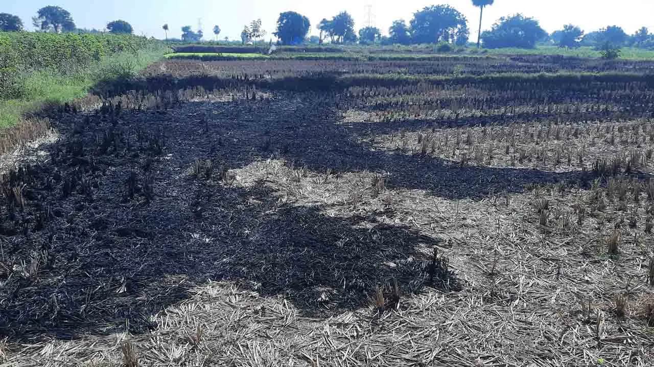 వరి కొయ్యలు కాల్చిన రైతులకు రూ.40 వేల ఫైన్