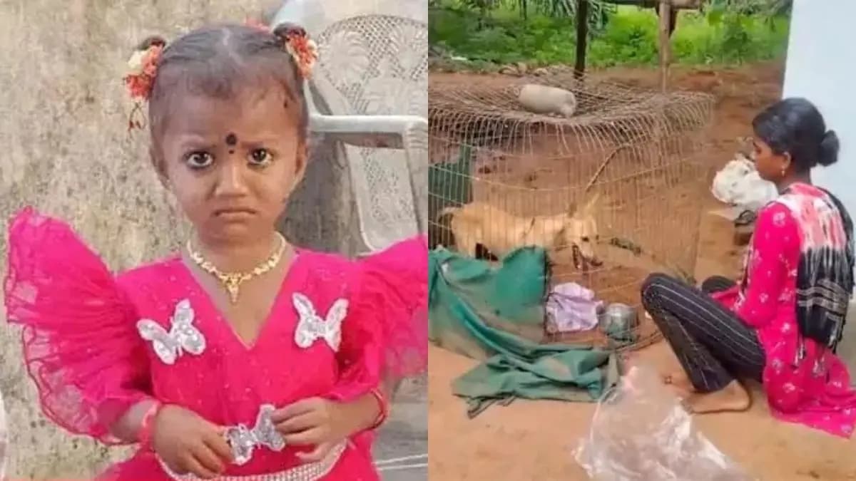అయ్యో!.. ఆధారంగా ఉన్న ఆ కుక్క కూడా చనిపోయే