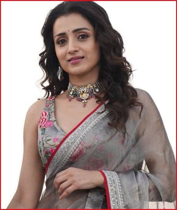 Trisha Cryptic Post Fuels Vijay Dating Talk Again